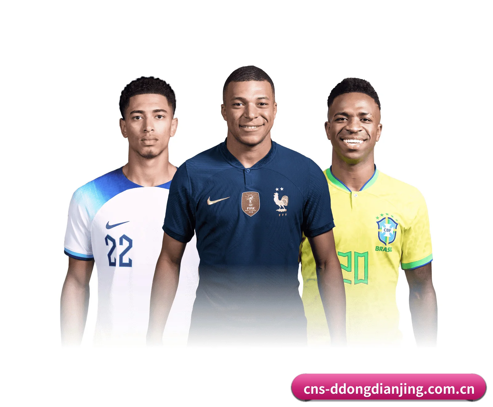 东东电竞贴合重度球迷盯盘直觉锻造的服务生态 - 多运动项目内容板块